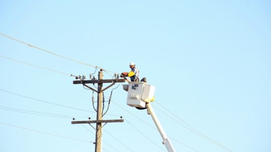 electrical contractor insurance requirements