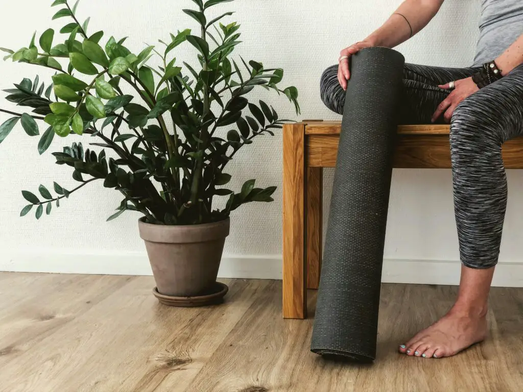 health and fitness