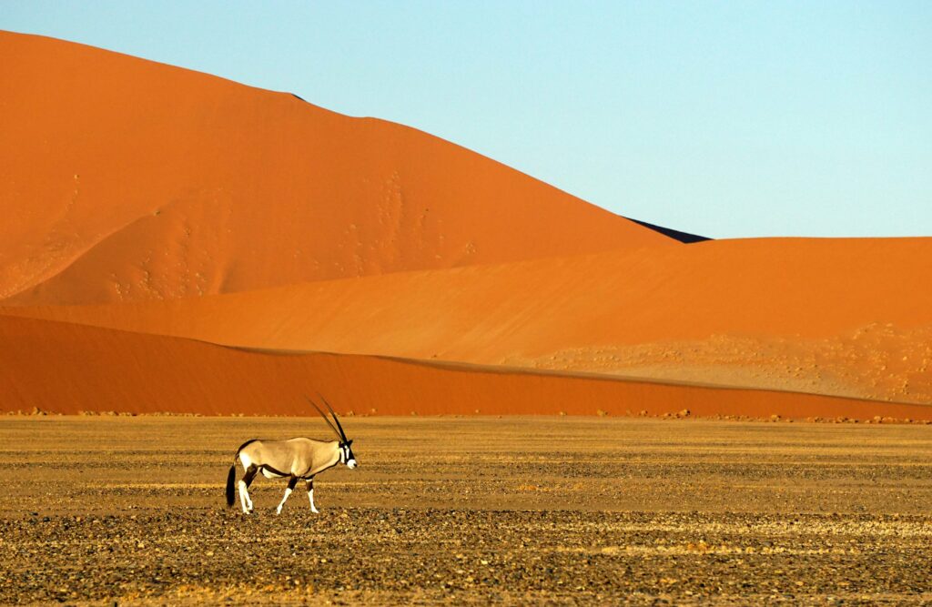 namibia beste reisezeit