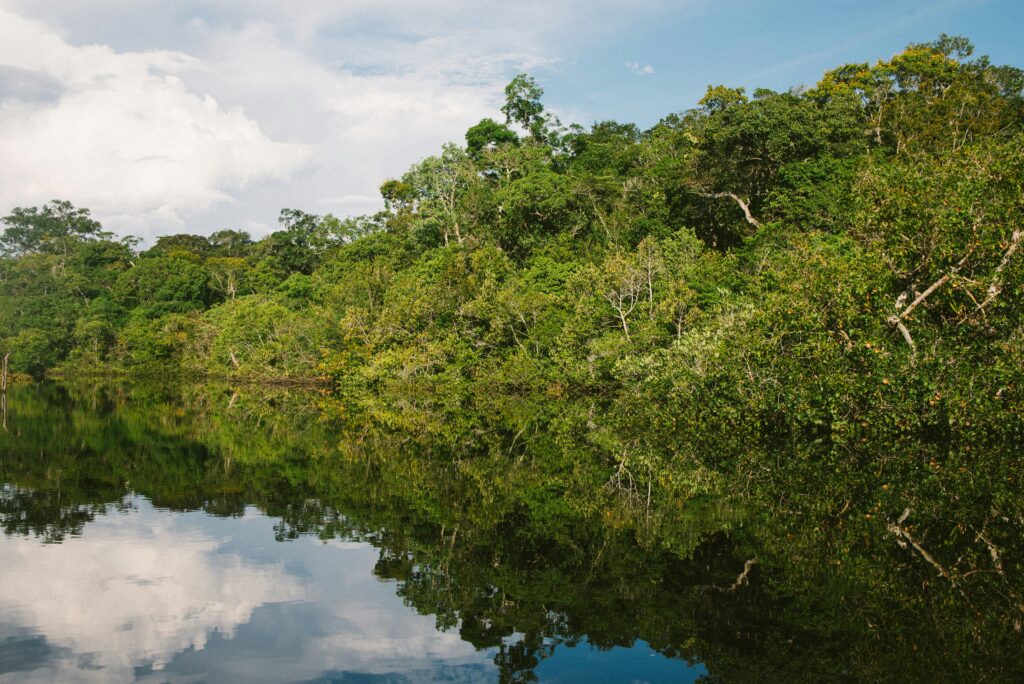 Amazon Jungle, Amazonas, Brasilien