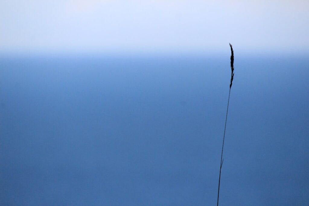 deutsche inseln Bild