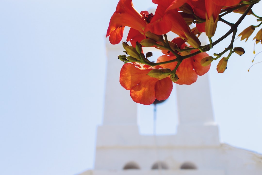 schönste griechische inseln Thema Bild