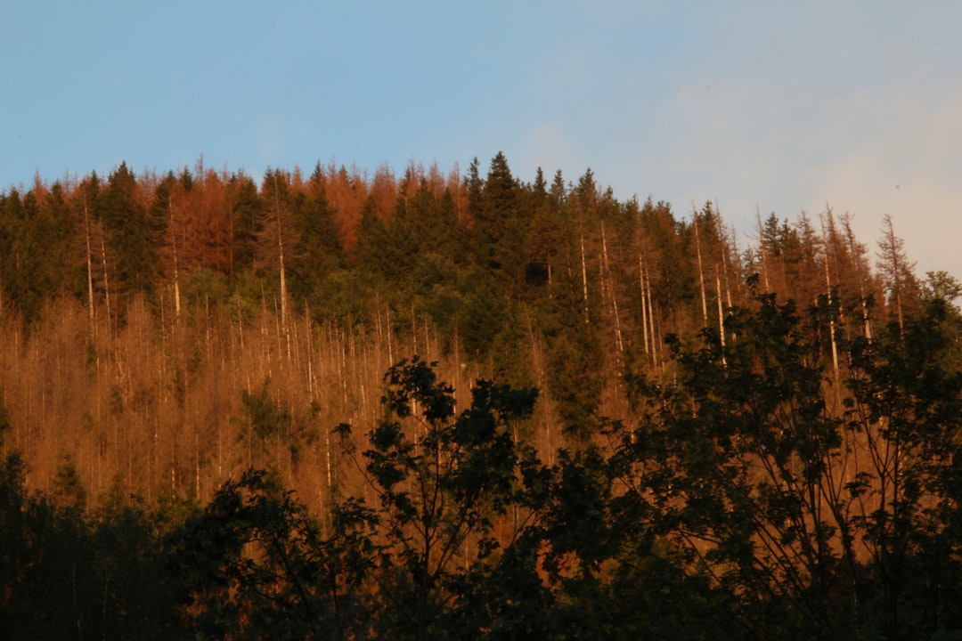 harz ausflugsziele Bild