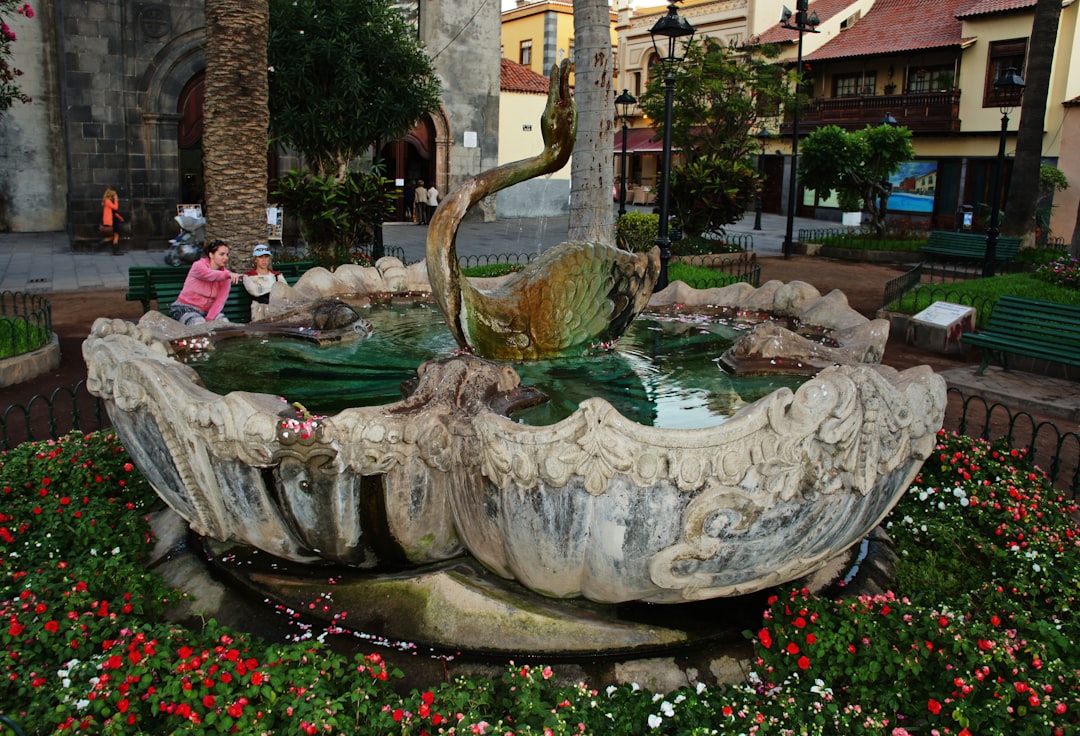 kanarische inseln Bild