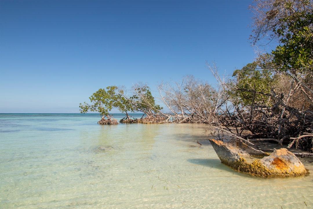karibische insel Bild