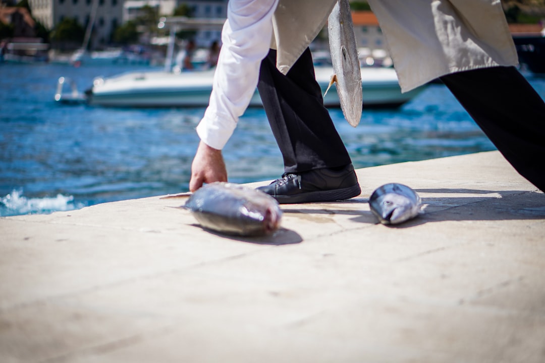 kroatische inseln Bild