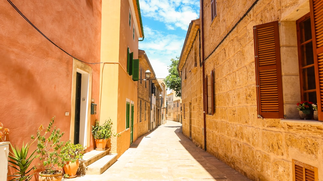 beste reisezeit mallorca Thema Bild