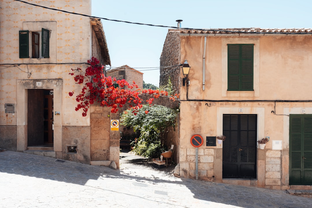 beste reisezeit mallorca Bild