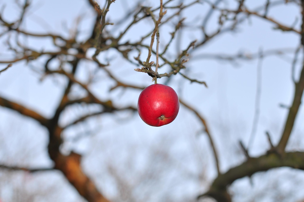 beste reisezeit november Thema Bild