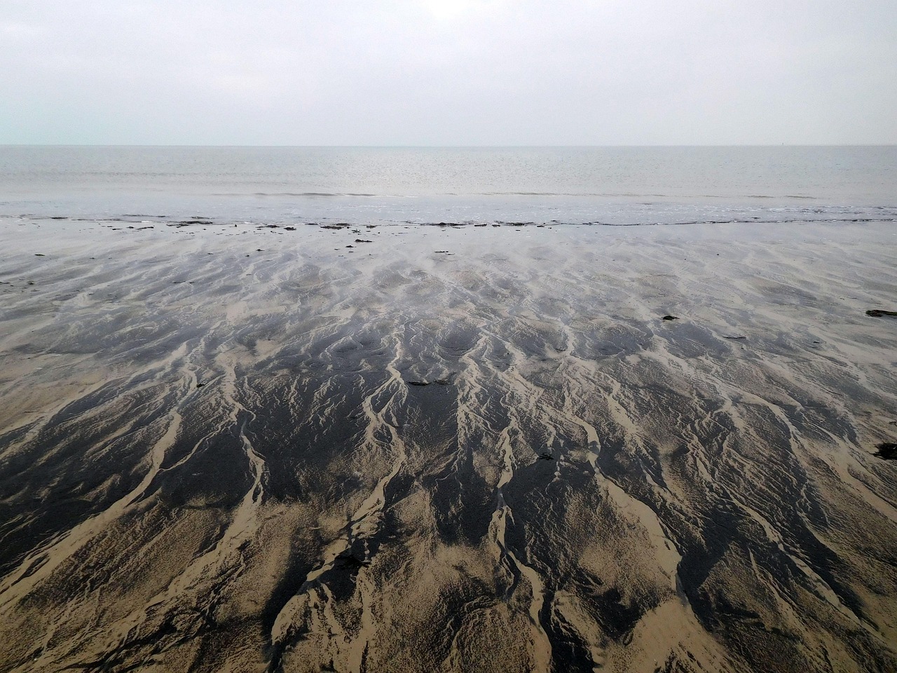 ostfriesische inseln Thema Bild