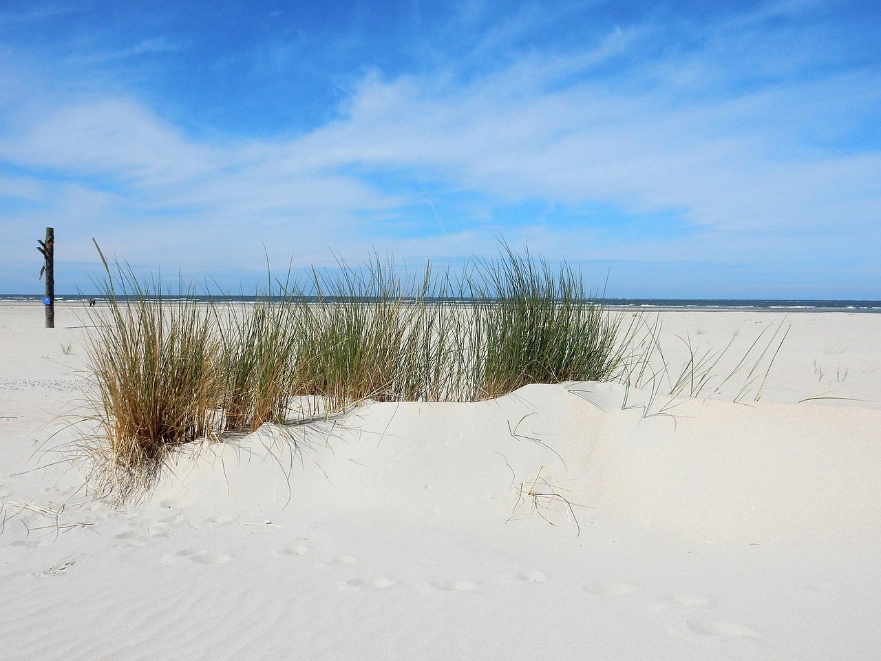 ostfriesische inseln Bild