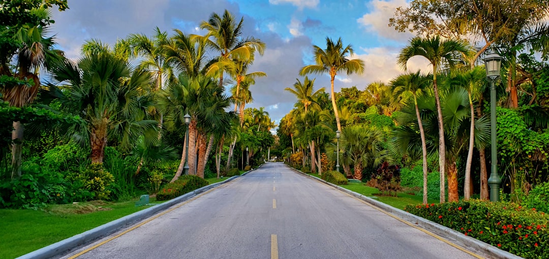 beste reisezeit punta cana Bild