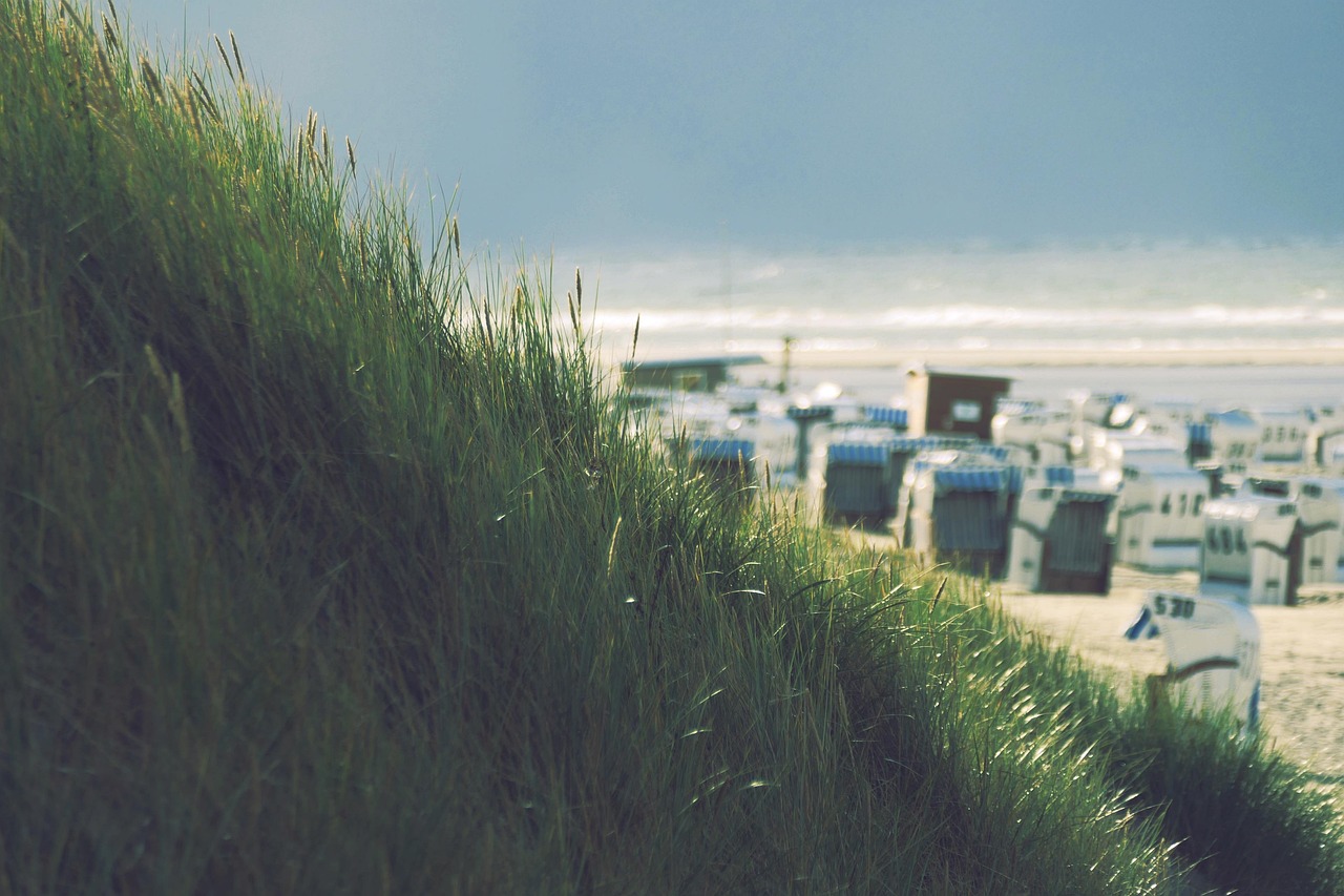 insel nordsee Thema Bild