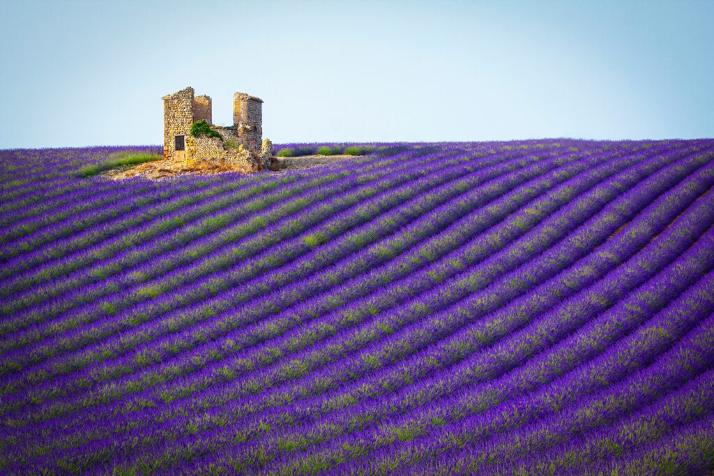 Provence, Frankreich