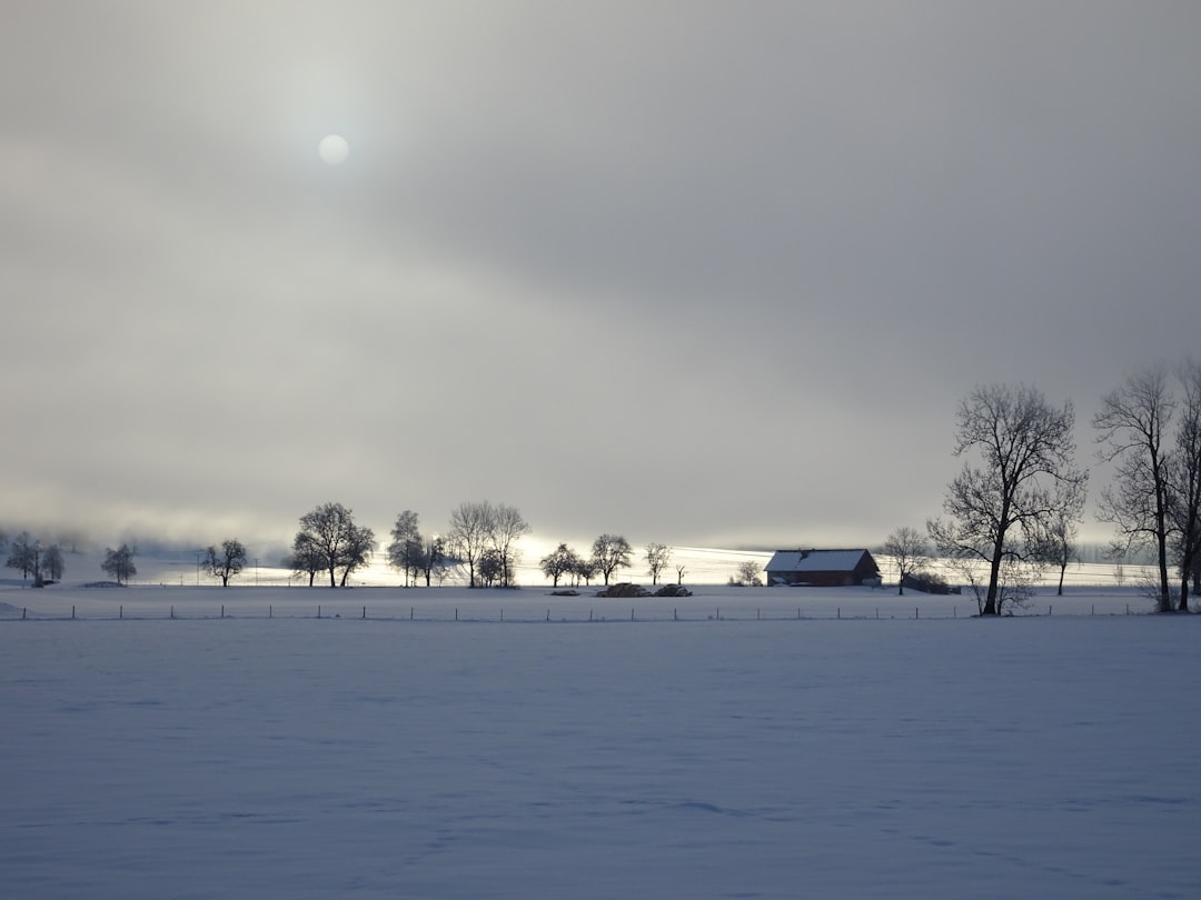 Allgäu im Herbst und Winter: Berge, Thermen und stille Naturerlebnisse Bild