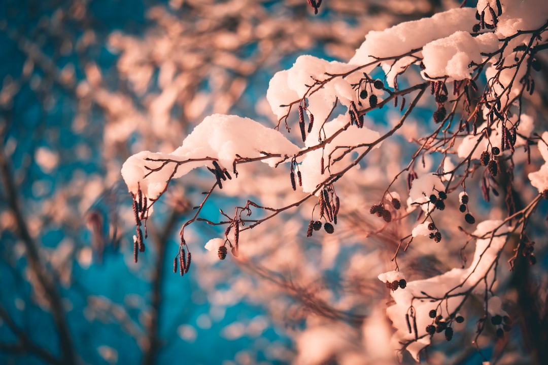Kann man im Winter auf den Azoren reisen? Bild