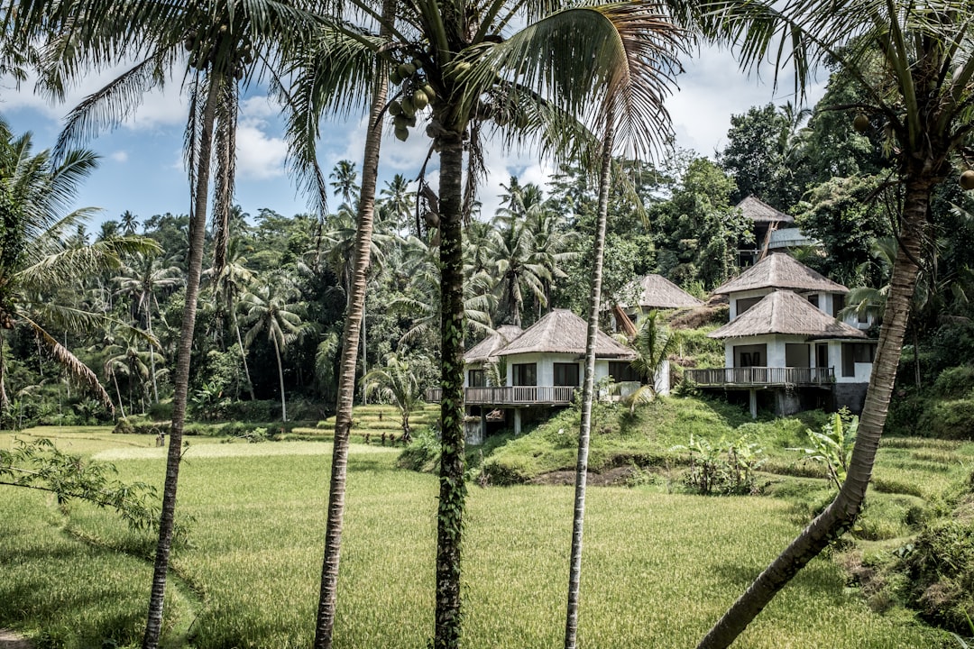 Ist Bali inzwischen überlaufen? Bild