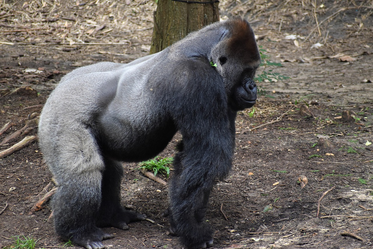 Welche Reiseziele sind 2025 noch bezahlbar? Bild