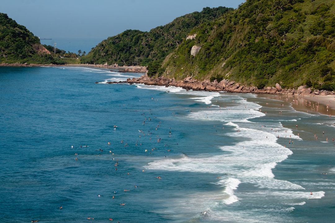 brasilien urlaub Bild