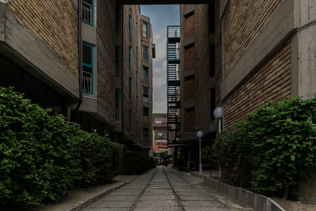 bulgarien urlaub Bild