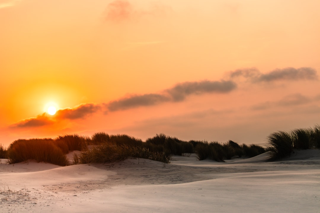 Friesische Inseln Niederlande (Texel, Vlieland, Terschelling) – Beste Reisezeit & Route Bild