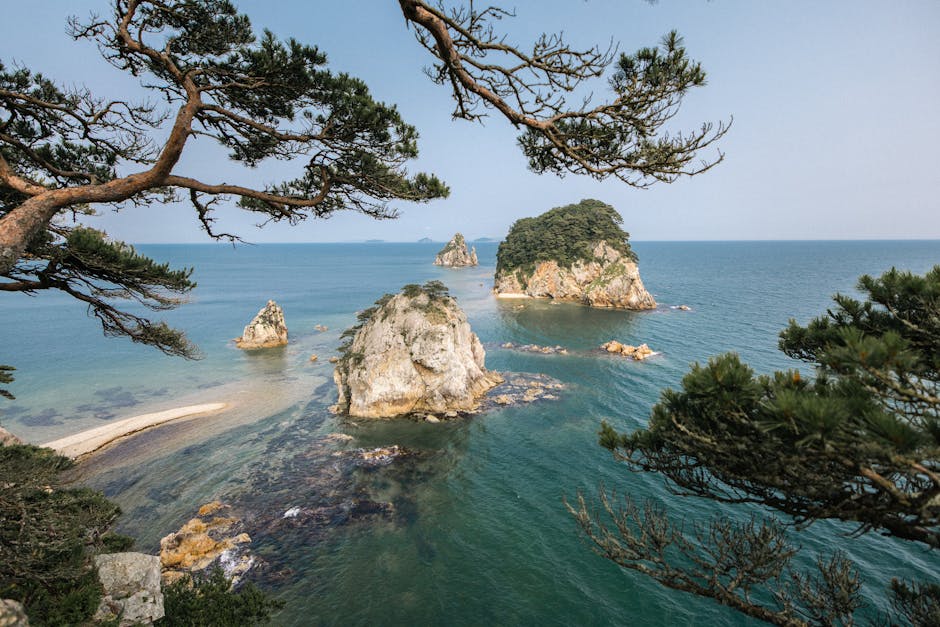 Halligen – Die 10 Mini-Inseln der Nordsee & warum sie magisch sind Thema Bild