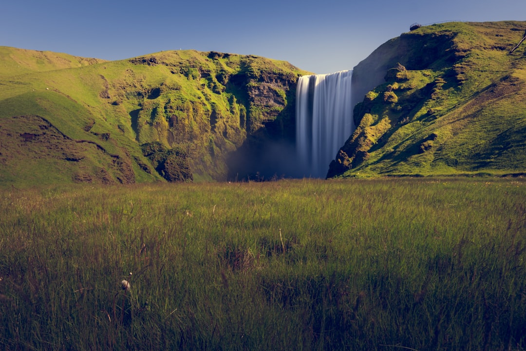 Lohnt sich Island im Sommer trotz hoher Preise? Bild