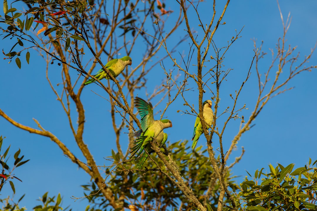 Wann sind die Kanaren am leersten? Thema Bild