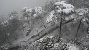 Wie ist das Wetter auf Madeira im Winter? Bild