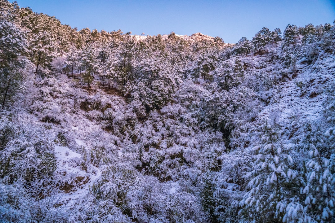 Kann man im Winter auf Mallorca baden? Bild