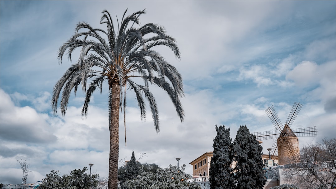 Wie ist das Wetter auf Mallorca wirklich im Winter? Bild