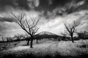 Ist Reisen außerhalb der Saison sicher? Bild