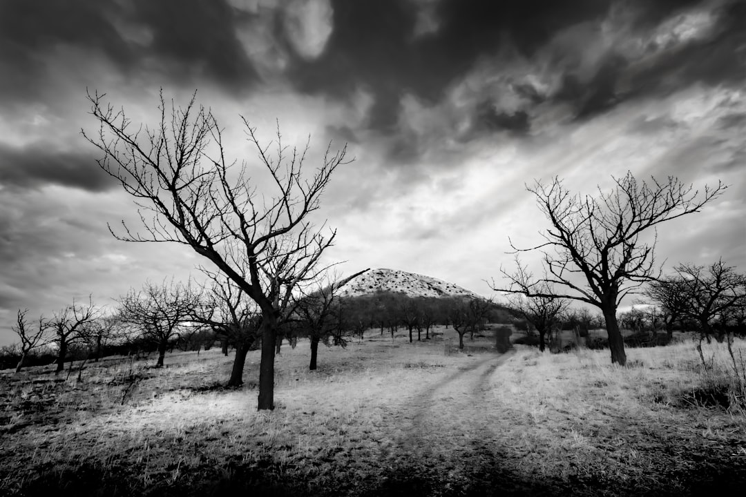 Ist Reisen außerhalb der Saison sicher? Bild