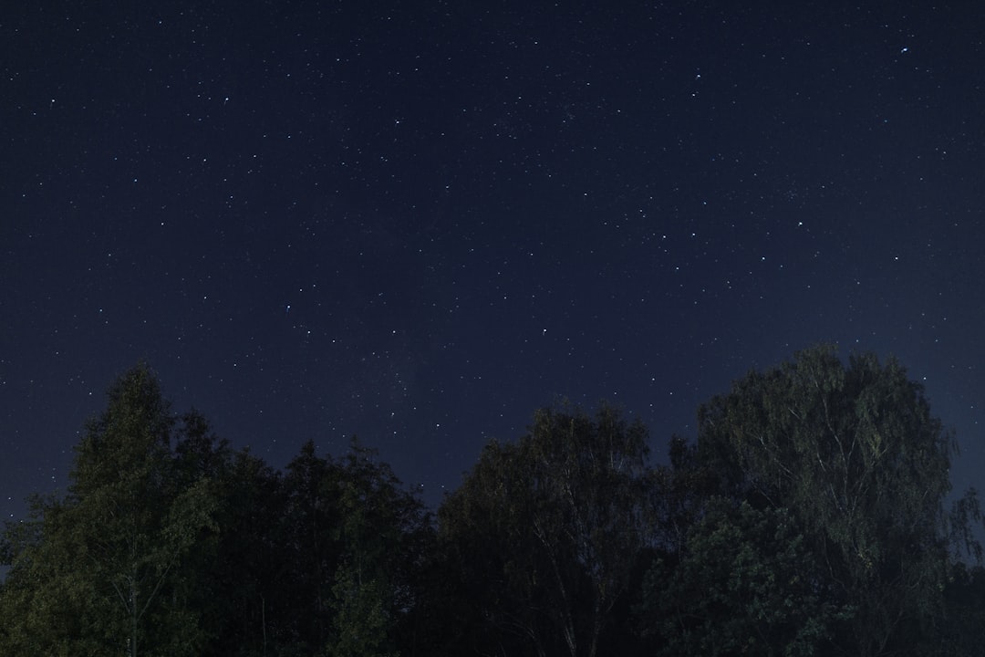 Nightjet 2025: Die spannendsten neuen Nachtzugrouten quer durch Europa Bild