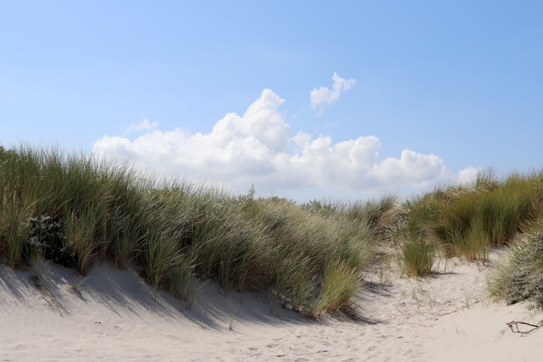 insel nordsee Thema Bild