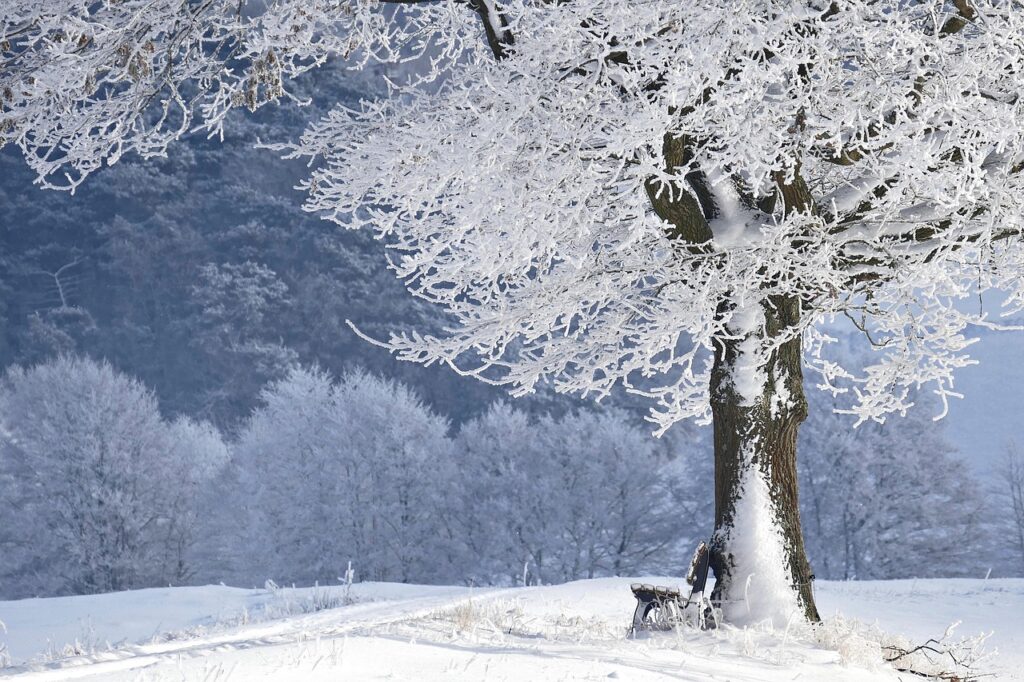 Die besten Ostsee-Inseln für den Winter (Rügen, Hiddensee, Fehmarn) Bild