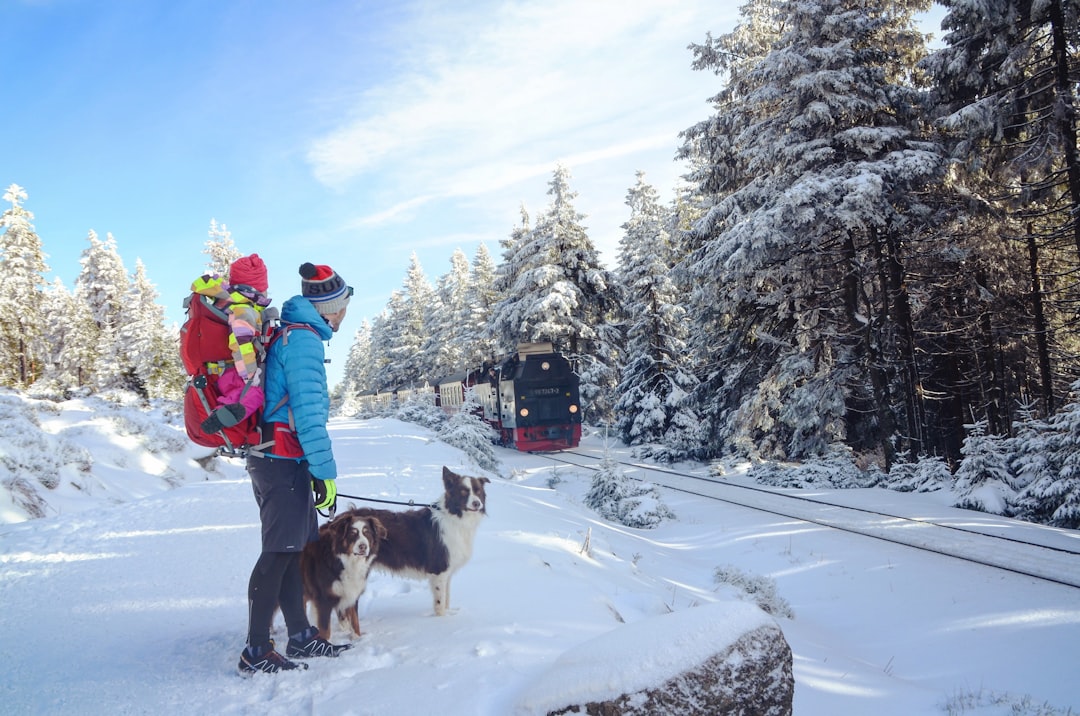 Wohin reisen mit Kindern im Winter? Bild