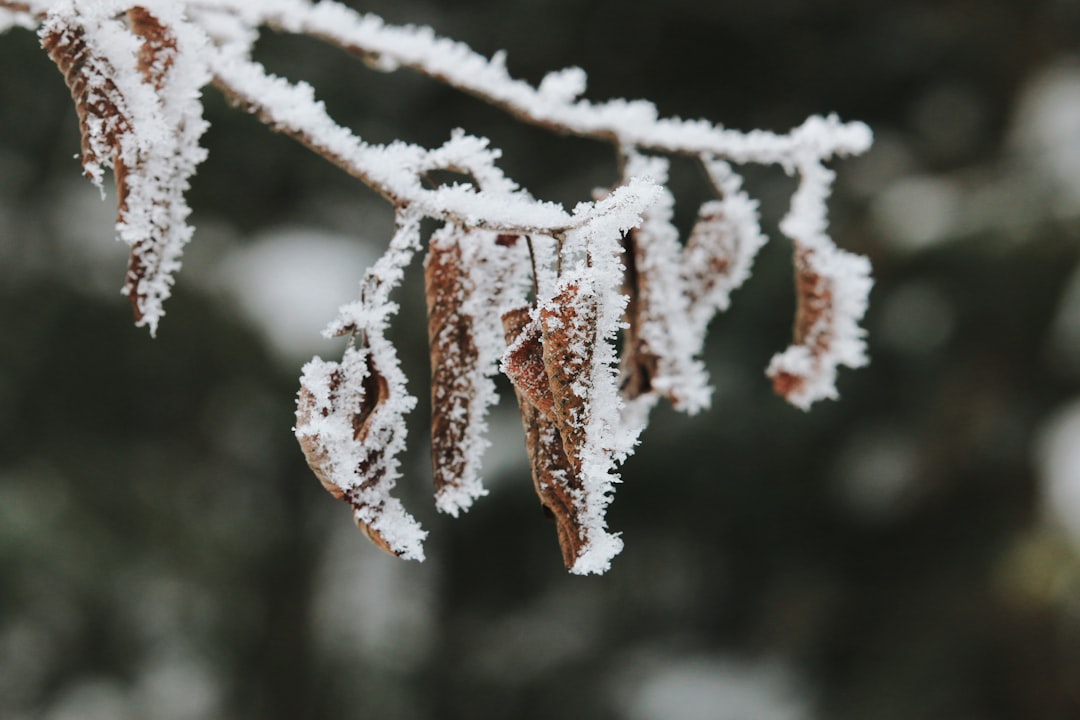 Wie ist das Wetter auf Sizilien im Winter? Bild