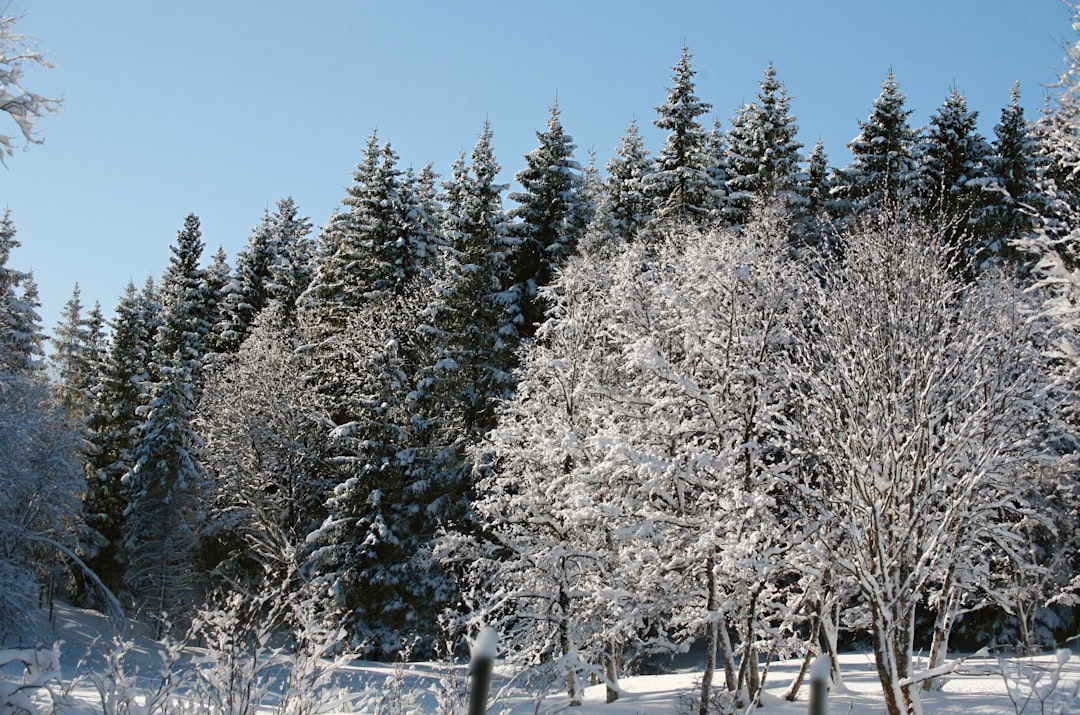 Wie ist das Wetter auf Sizilien im Winter? Thema Bild
