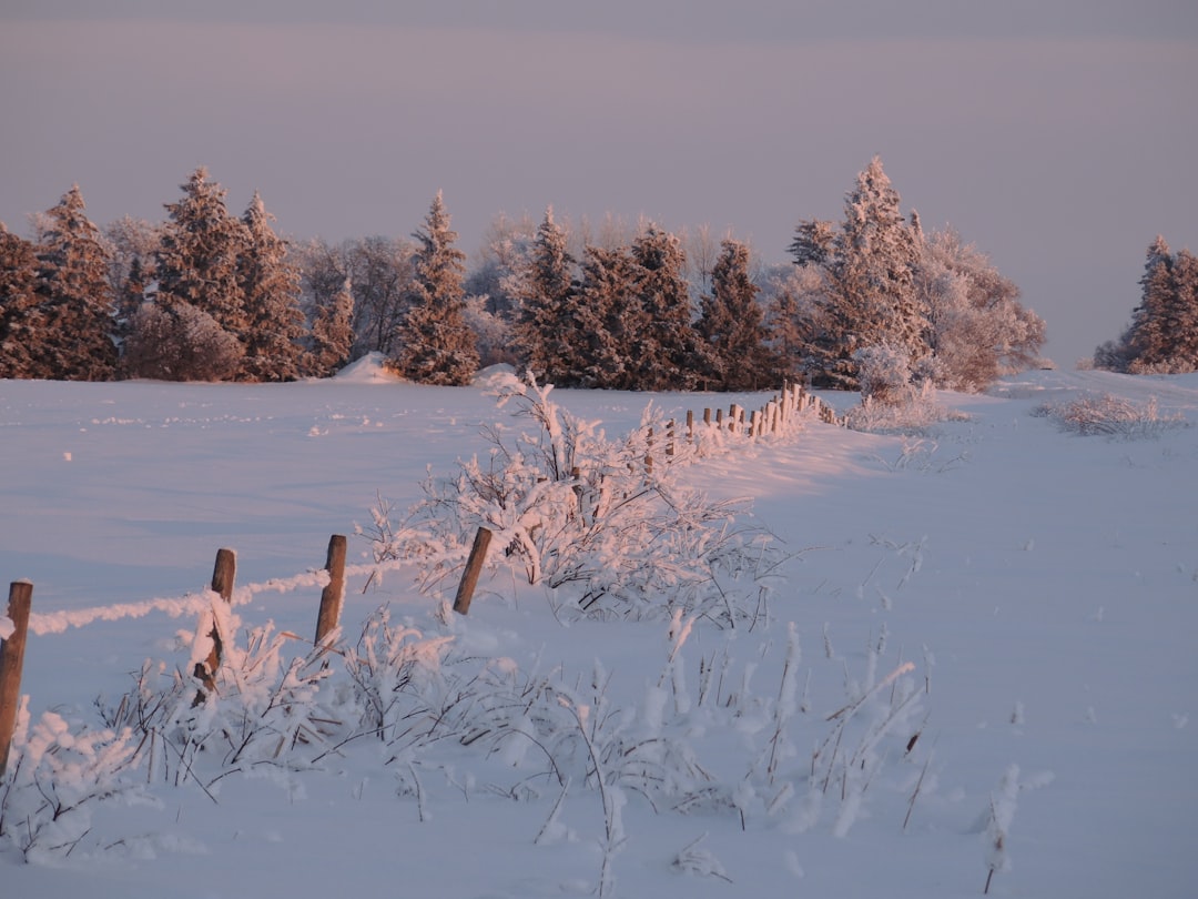 Sylt im Vergleich: Welche Küstenorte bieten die schönsten Wintermomente? Bild