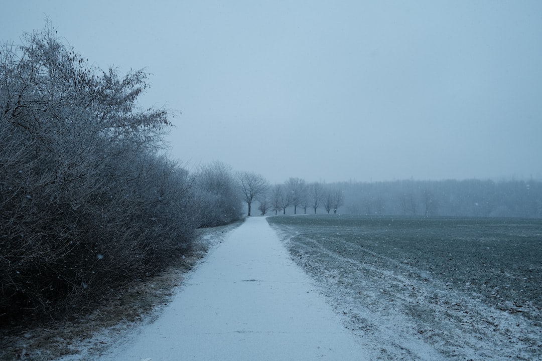 Sylt im Vergleich: Welche Küstenorte bieten die schönsten Wintermomente? Bild