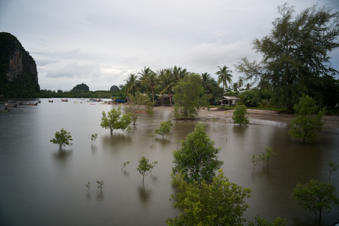 Kann man Thailand während der Regenzeit bereisen? Bild