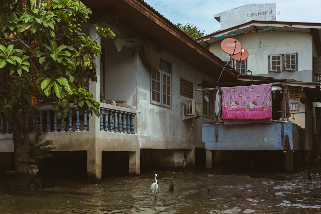 Lohnt sich Thailand während der Regenzeit? Bild
