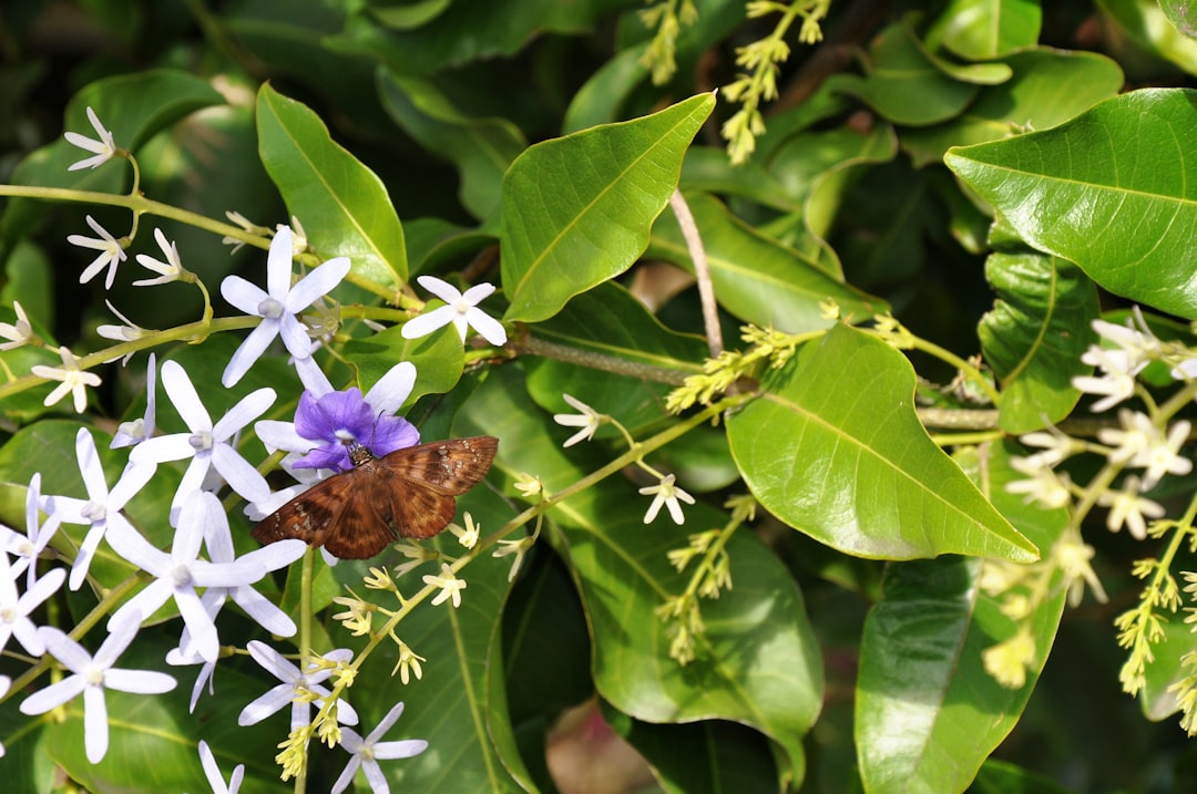 urlaub über silvester Bild