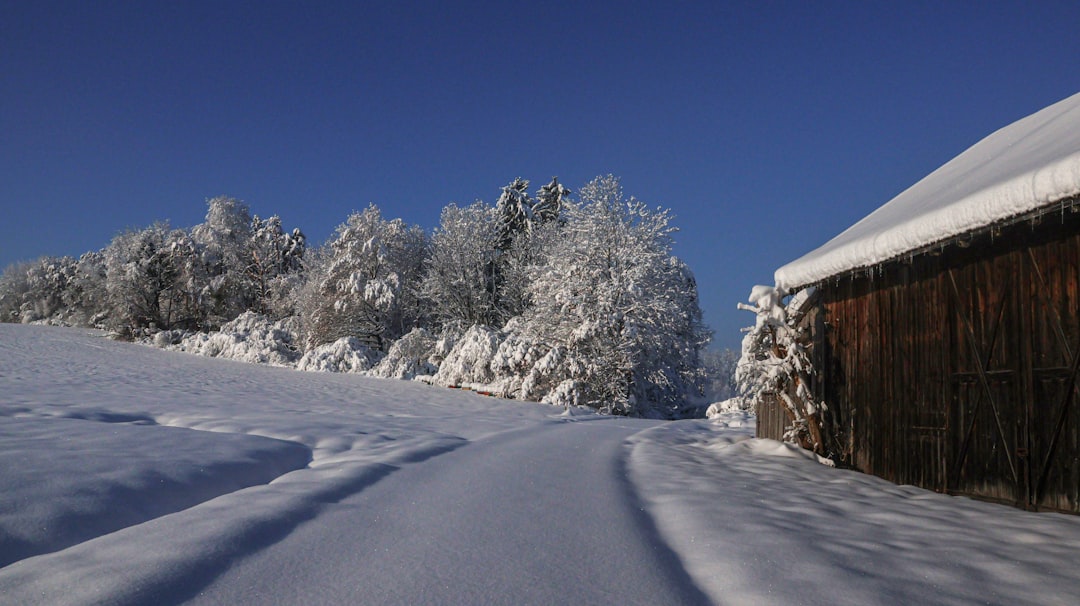 Wo ist es im Winter warm und günstig? Bild