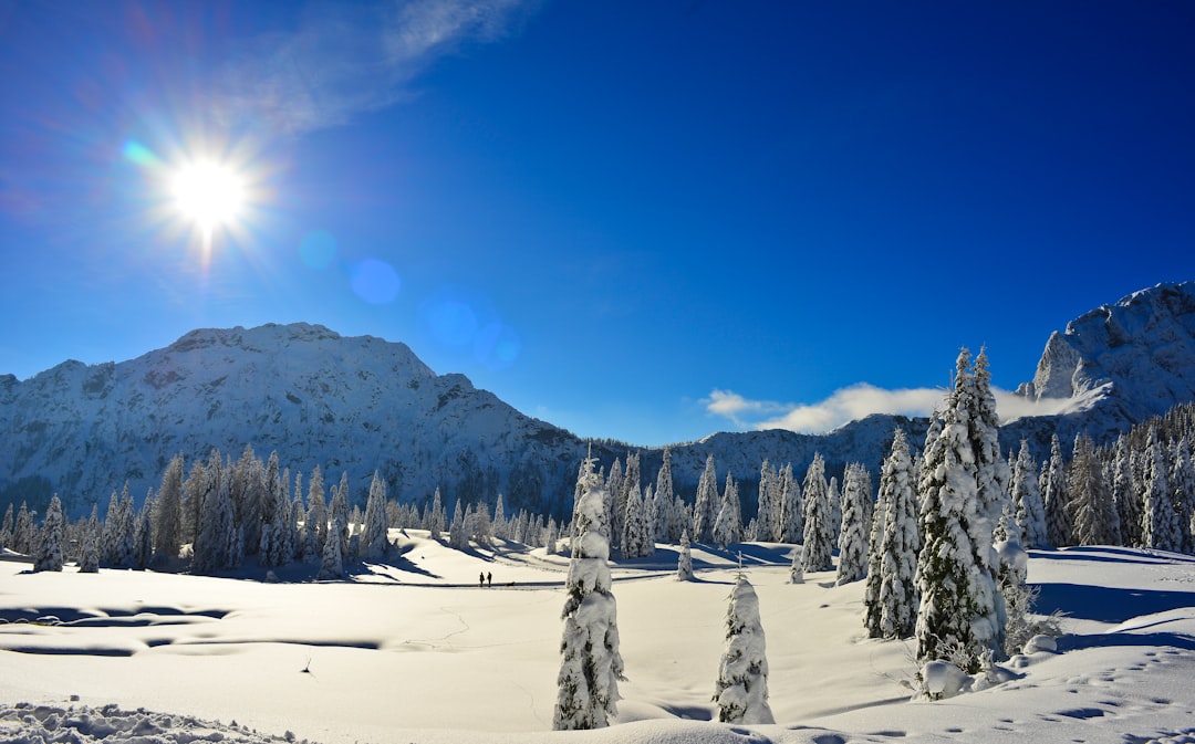 Wo ist es im Winter warm und günstig? Thema Bild