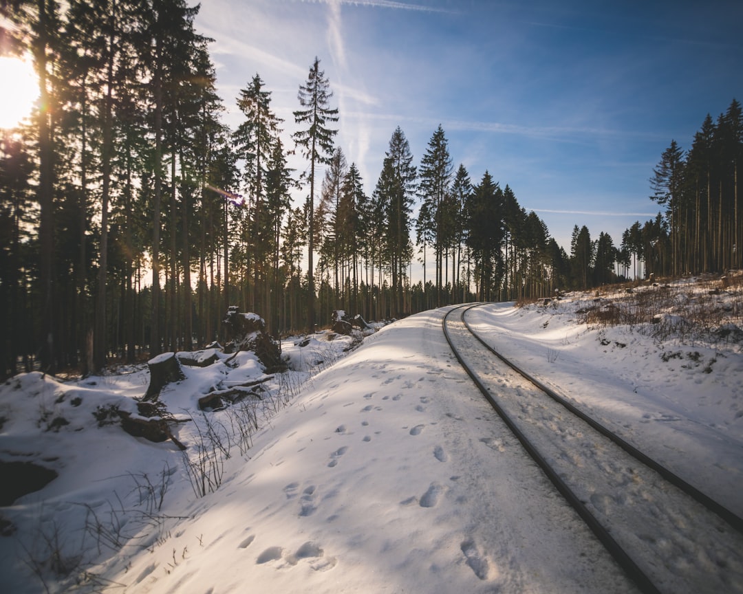 Wernigerode: Fachwerkromantik, Schlossblick und Harz-Abenteuer Bild