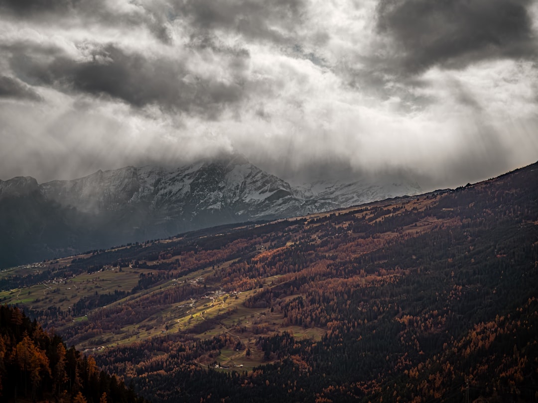 Welche Länder eignen sich zum Überwintern? Bild