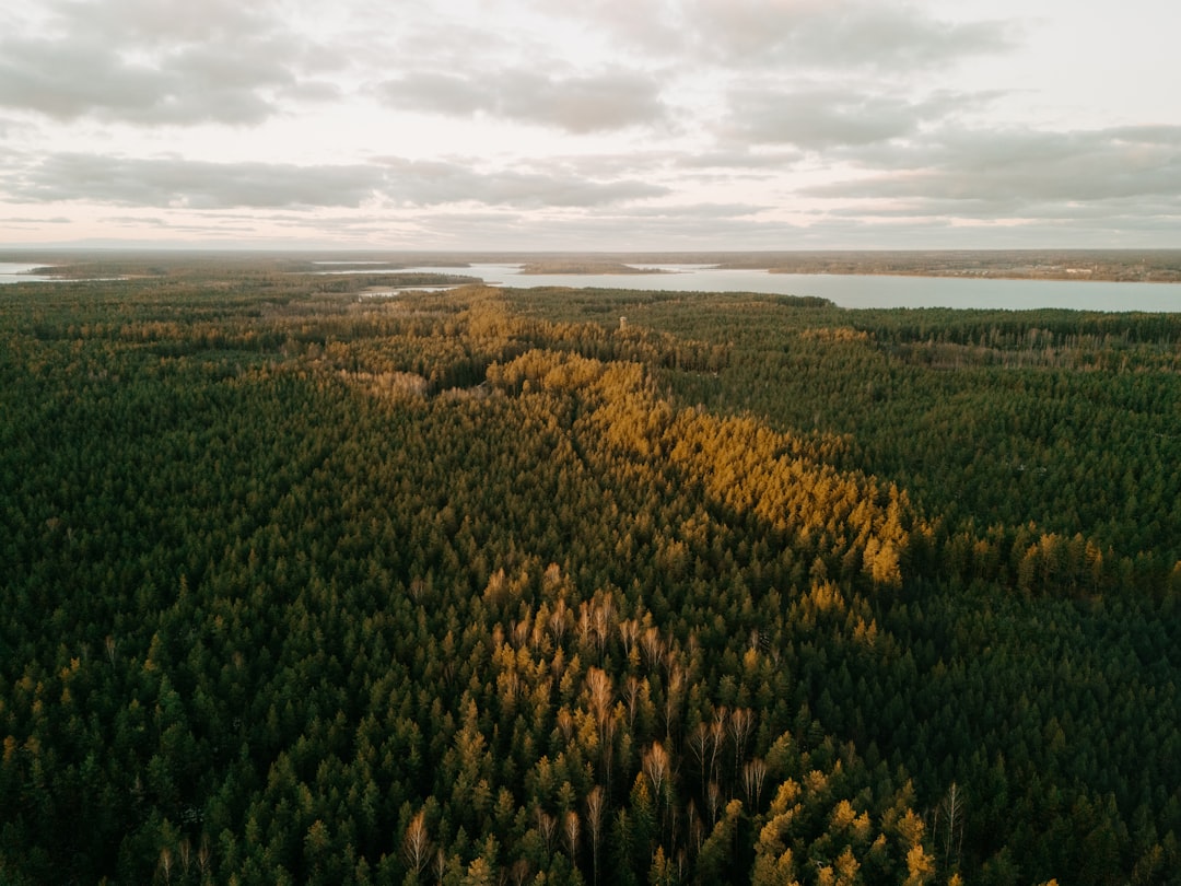 Welche Länder eignen sich zum Überwintern? Thema Bild