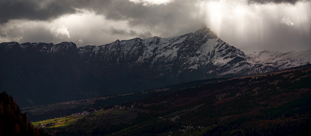 Welche Länder eignen sich zum Überwintern? Bild